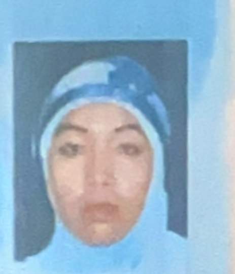 NUR AINI